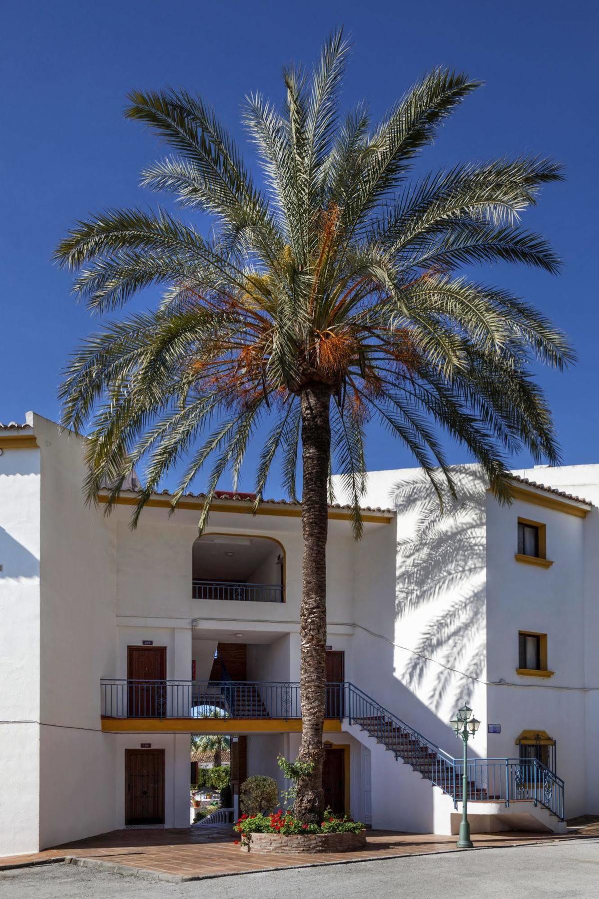 لا كالا ذي ميخاس Crown Resorts Club La Riviera المظهر الخارجي الصورة